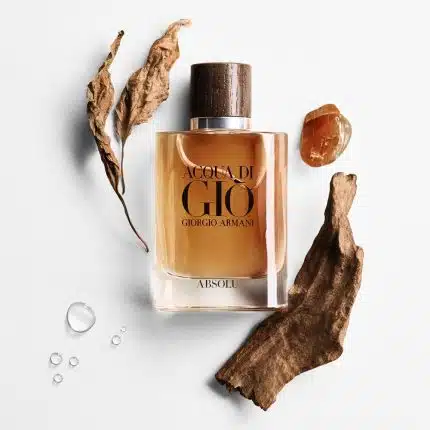 Acqua di Gio Absolu